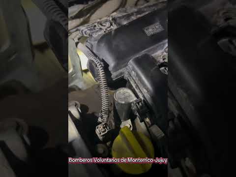 Jujuy: Bomberos Voluntarios de Monterrico rescatan a gatito atrapado en el motor de un suto