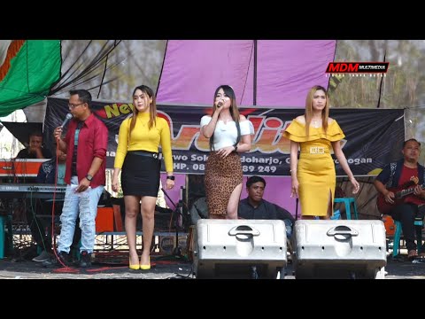 NEW ANDITA  FULL ALBUM TERBARU - AB AUDIO \\ MDM MULTIMEDIA - LIVE SOKO_BENDOHARJO