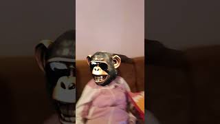 15 de maio de 2025