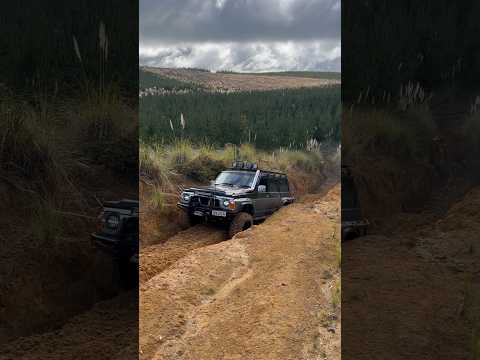 Nissan Patrol GQ TD42