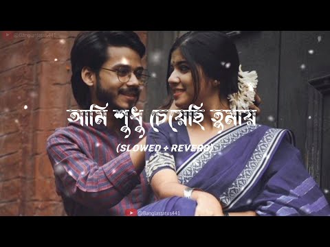 Ami Sudhu Cheyechi Tomay ( আমি শুধু চেয়েছি তোমায় ) | Lyrics Video Song (Lofi) | Bangla Status