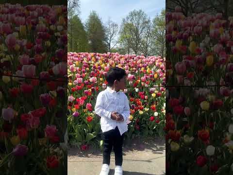 #highlights #parthiv #tulip #babyshorts