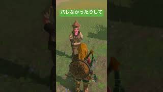 【#ゼルダの伝説ティアーズオブザキングダム 】バレなかったりして…