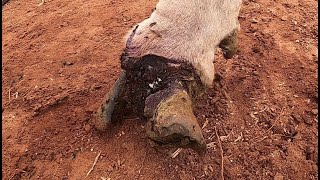 1 dos PIORES que pegamos ...