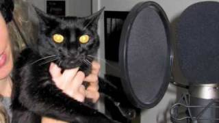 Cats in the Catacombs - Halloween Music - Kristen Lawrence