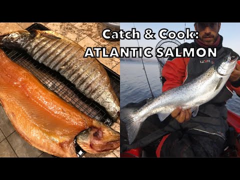 , title : 'Catch, Clean, And Cook: ATLANTIC SALMON'