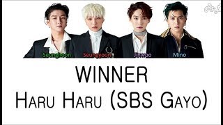 WINNER - Haru Haru 하루하루 (2017 SBS Gayo) (Color Coded Lyrics ENGLISH/ROM/HAN)