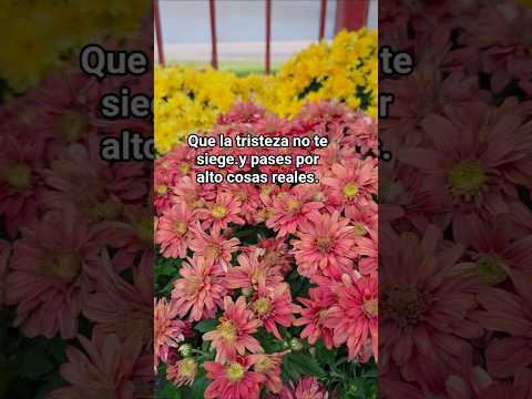 #nature beautiful flowers 💐.