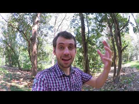 German Vlog #90 - Vielleicht hast du einfach nur ANGST | Hemmungen abbauen