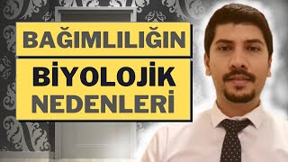 BAĞIMLILIĞIN BİYOLOJİK NEDENLERİ / FİZYOLOJİK NEDENLERİ - Bağımlılığın altında yatan sebepler