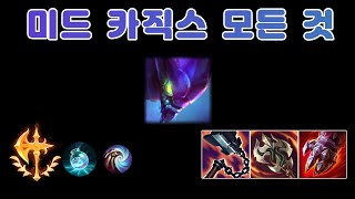 미드 카직스 1년 동안 해온 모든 것