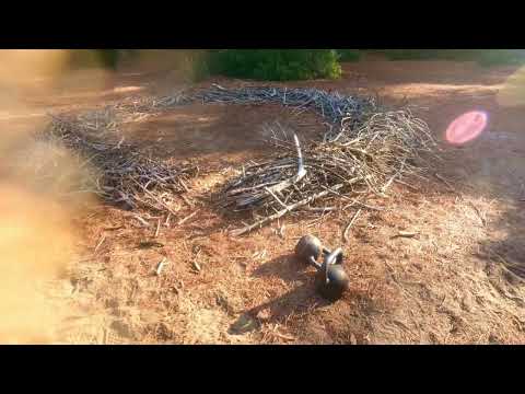 Week 15 - 2023 - Cheveyo Training Camp