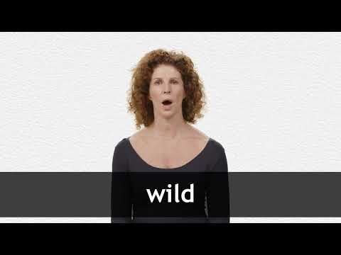 WILD definition in American English