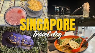 【シンガポールvlog #1】3泊4日で周るシンガポール旅!在住者おすすめスポットから定番観光地を紹介!オーチャード/リトルインディア/アラブストリート/ナイトサファリ/屋台/カフェ/ローカルグルメ