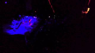 Devendra Banhart - Brindo (en vivo Madrid)