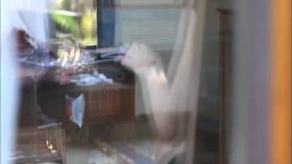 John Frusciante  - A Name