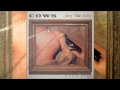 Cows - 39 Lashes