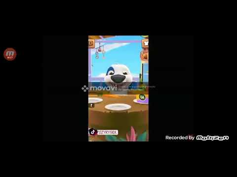 talking hank coffin dance reversed 🎩