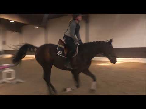 SPICEGIRL 4j. Skyliner - Graf Grannus