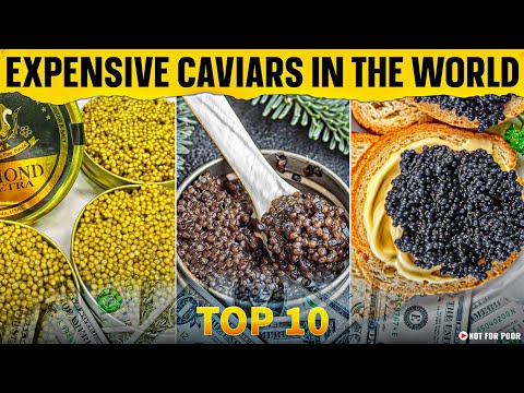 Top 10 Most Expensive Caviars in the World | Why is Caviar so Expensive?