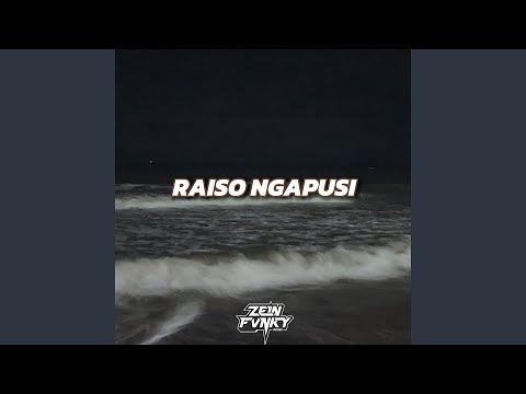 Raiso Ngapusi