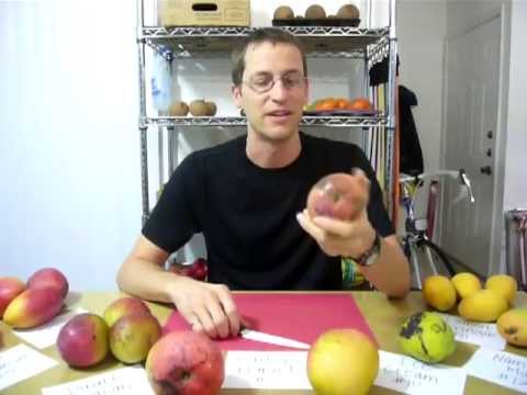 2 How Does a Bailey's Marvel Mango Taste, and Other Info About Bailey's Marvel