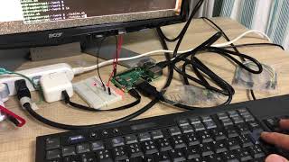 Raspberry PiのLチカ