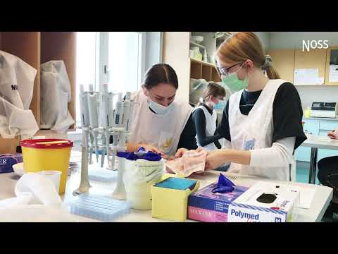 9. und 10. Schuljahr im Noss Schulzentrum Spiez