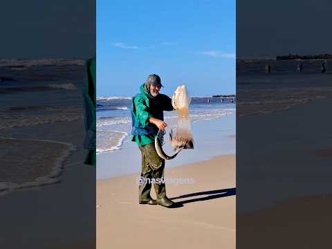 Tarrafeador André, na pegada de tainhas, Praia de Imbé, RS. #pescadetarrafas #tainhas #alimentos