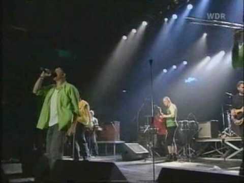 The Busters - Dead or alive