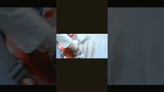 【#又三郎】【#ヨルシカ】【#shorts】【#永久機関】プロフよりYouTube fullへ飛べます！  #ヨルシカ  #初音ミク #anime #キタニタツヤ　 #盗作再演　 #盗作live