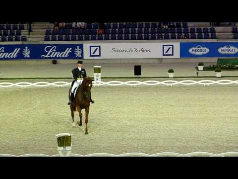 CHIO Aachen CDI tour 2010 Grand Prix, Isabelle Werth - Warum Nicht