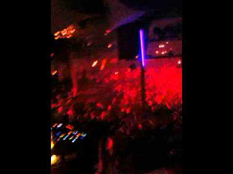 harry choo choo romero pacha ibiza