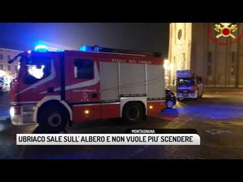 TG PADOVA (03/12/2018) - UBRIACO SALE SULL'ALBERO E NON VUOLE PIU' SCENDERE