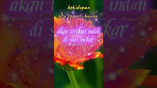 Download lagu #iklim#storywa #story#bunga #katakatamotivasi #kataindah #sad #feedshorts #fyoupage mp3