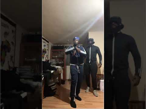 Djolo National 🇨🇮🦍