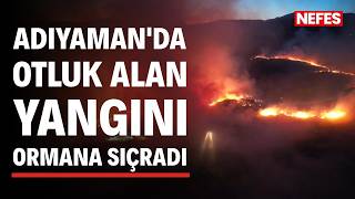 Adıyaman'da otluk alanda çıkan yangın ormana sıçradı