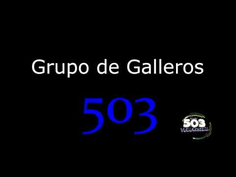 La Cumbia del Gallero, LATELEVISION503 COM