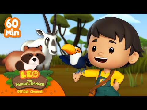 Witness21  2023 05 28