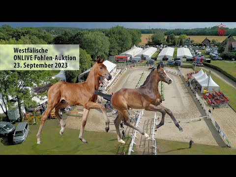 Westfälische ONLIVE Fohlen-Auktion 23. September 2023 / Trailer