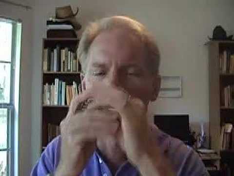 Modern Blues Harmonica 135 - I Feel Good 1