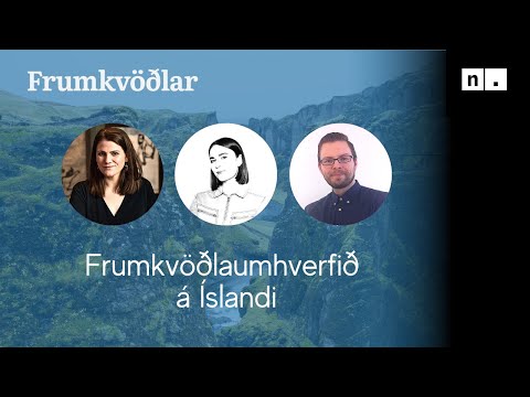 Frumkvöðlaspjall: Frumkvöðlaumhverfið á Íslandi