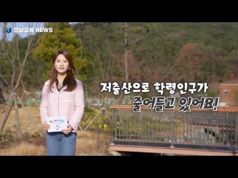 비디오 24