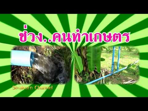 สาเหตุของคนอ่อนแอ เด็กศูนย์คิดเห็นพรู