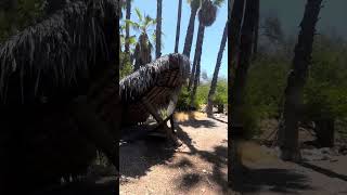 Villa Maria Isabel RV Park video walkthrough