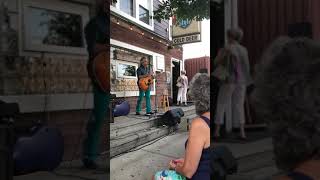 Tiger &amp; The Monkey - Jim Lauderdale