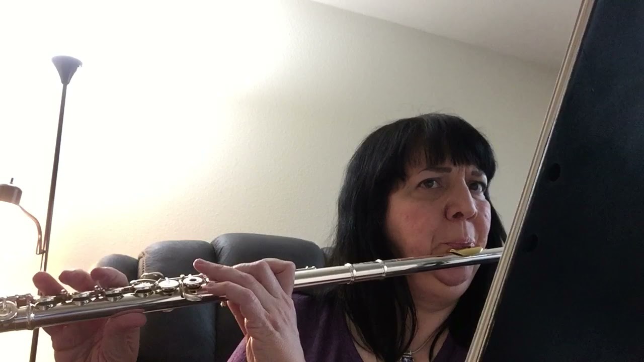 Promotional video thumbnail 1 for Flute and Piccolo Performer & Instructor