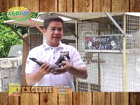 Pagbaba ng timbang diyeta sparing Mangayayat gamit ang lubid