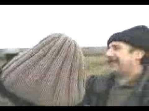 Calomfiresti zerezan 1