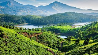 Munnar Tea Hills, Spectacular #munnar #keralatourism #mountains